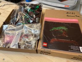 LEGO Bonsai Baum Set 10281 gebraucht in gutem Zustand