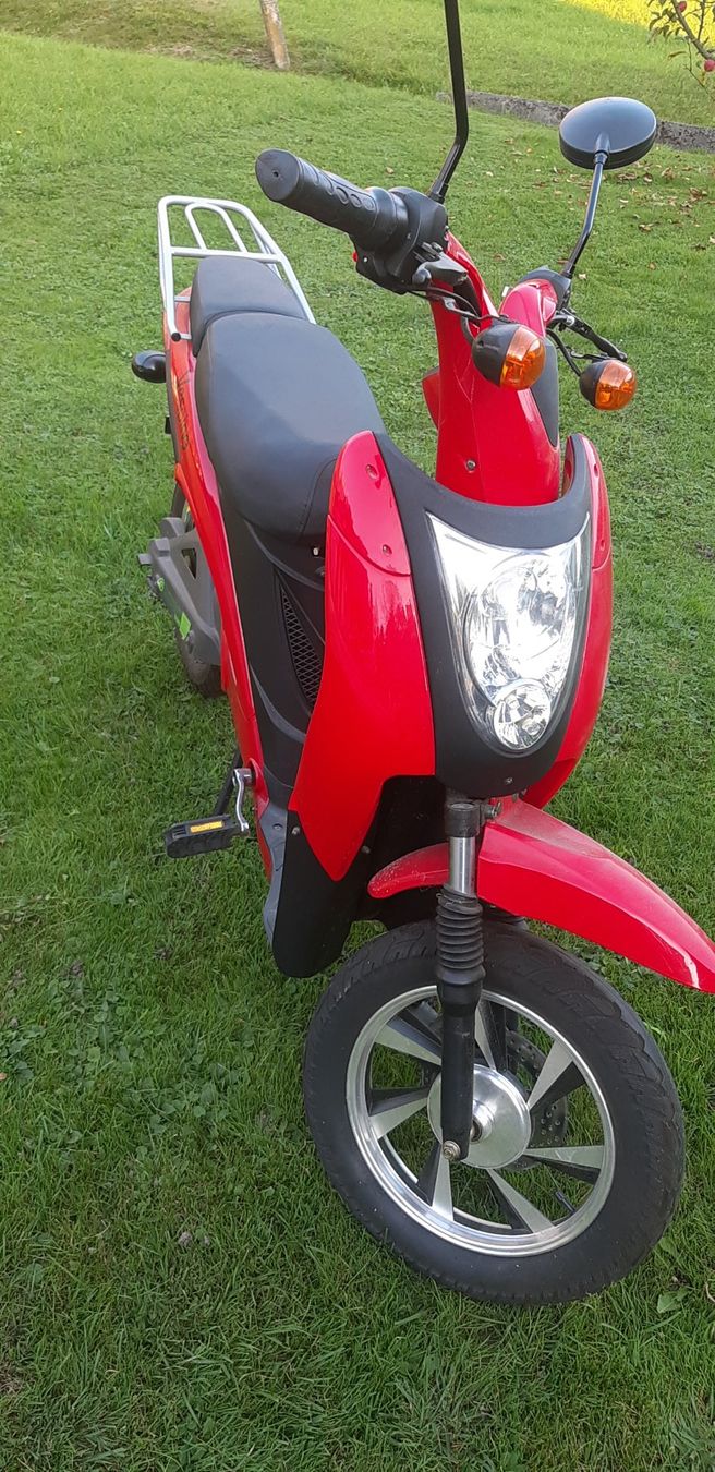 Veicoli elettrici: Vespino – Usato da Walenstadt venduto da Wildhuepfer 2