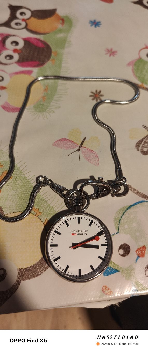 Mondaine Orologi: Mondaine SBB CFF FFS Taschenuhr – Nuovo (secondo la descrizione) da Unterentfelden venduto da igs_nj72 2