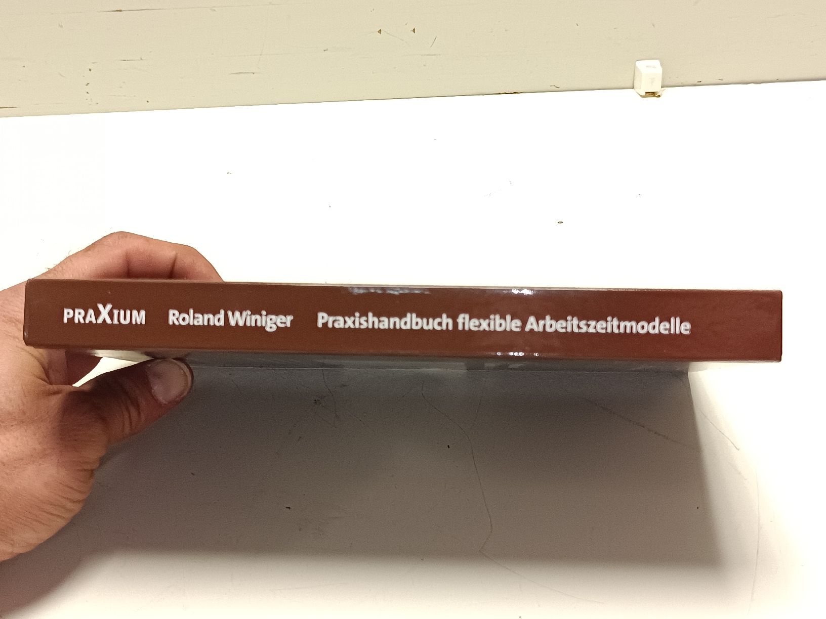 Libri: Praxishandbuch flexible Arbeitszeitmodelle(em76) – Usato da Künten venduto da Schnaepplihuus 1