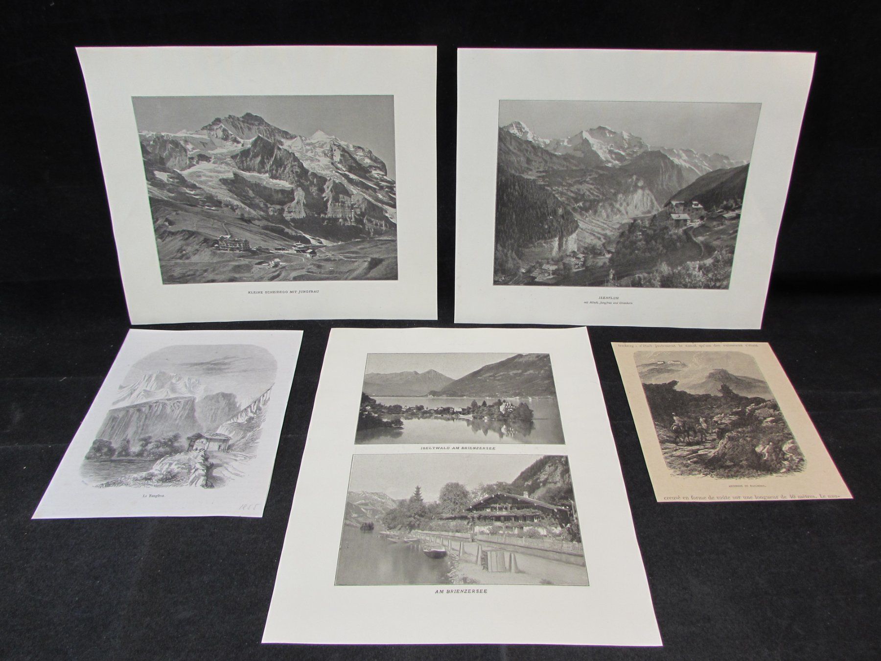 Incisioni: Berner Oberland, 19.Jh. – Usato da Walchwil venduto da Shells1 2