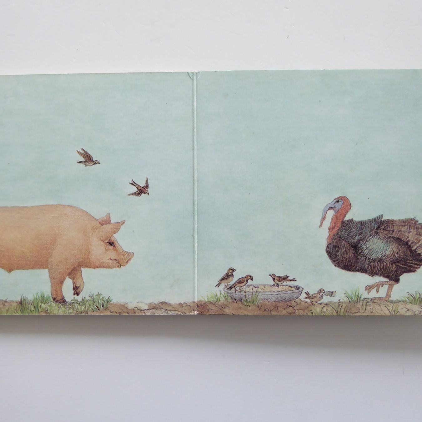 Libri: Kennst du uns? Eleonore Schmid Bilderbuch – Usato da Basel venduto da Kunterbunt12 3