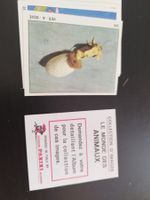 Images anciennes Panini "Le monde des animaux" années 70 80