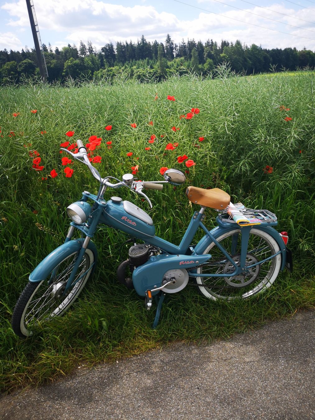 Ciclomotori: Rico paloma Nostalgie mofa 1961 – Usato da Wolfwil venduto da 19pipu63 5