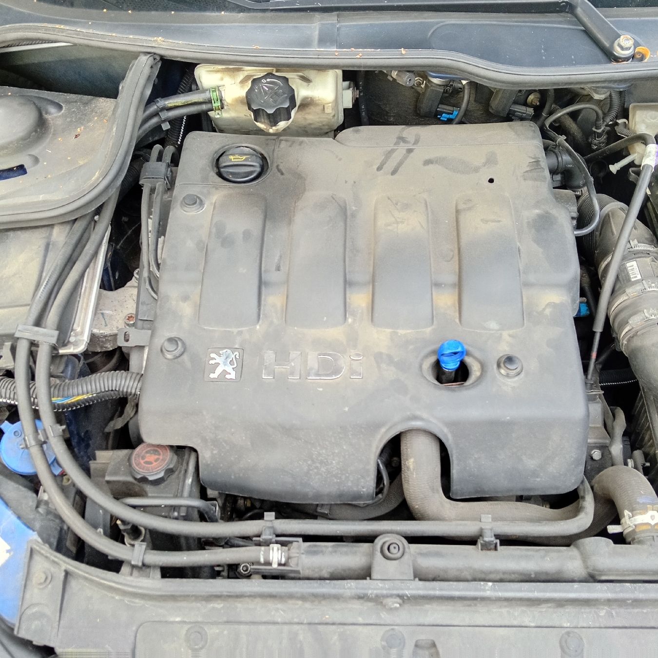 Automobili: PEUGEOT 2006  2.0 HDI – Difettoso da Bern venduto da exp_hm5r 7