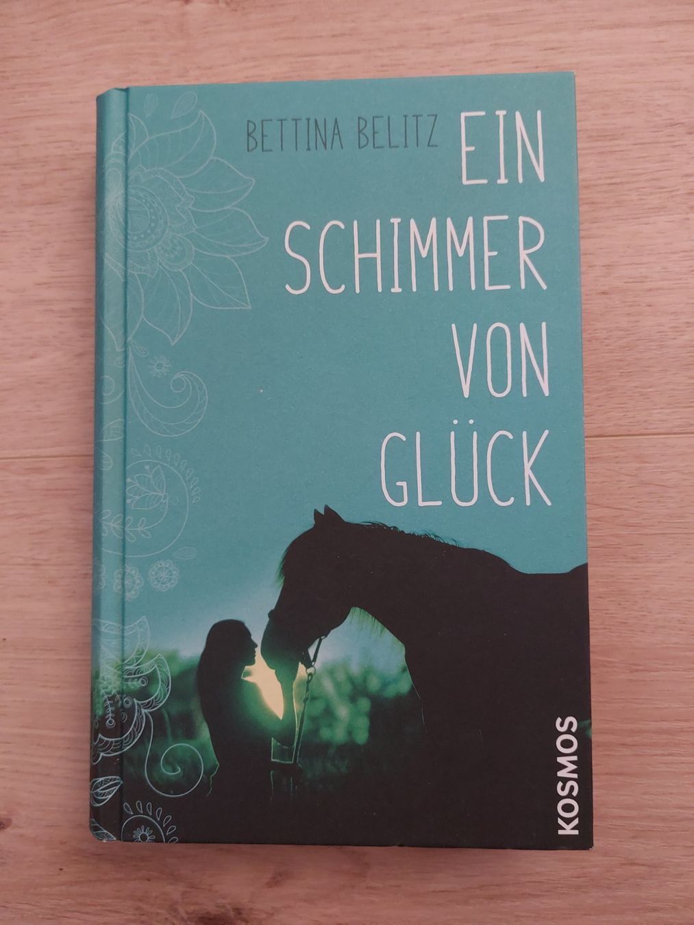 Libri: Ein Schimmer von Glück - Bettina Belitz – Usato da Untereggen venduto da ros_kz89