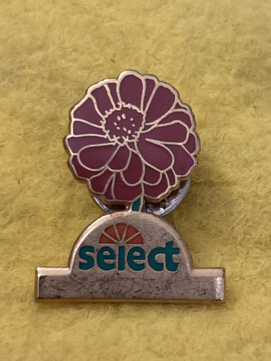 Broches & Aiguilles: Pin SELECT – D'occasion à Lausen par schwaafli