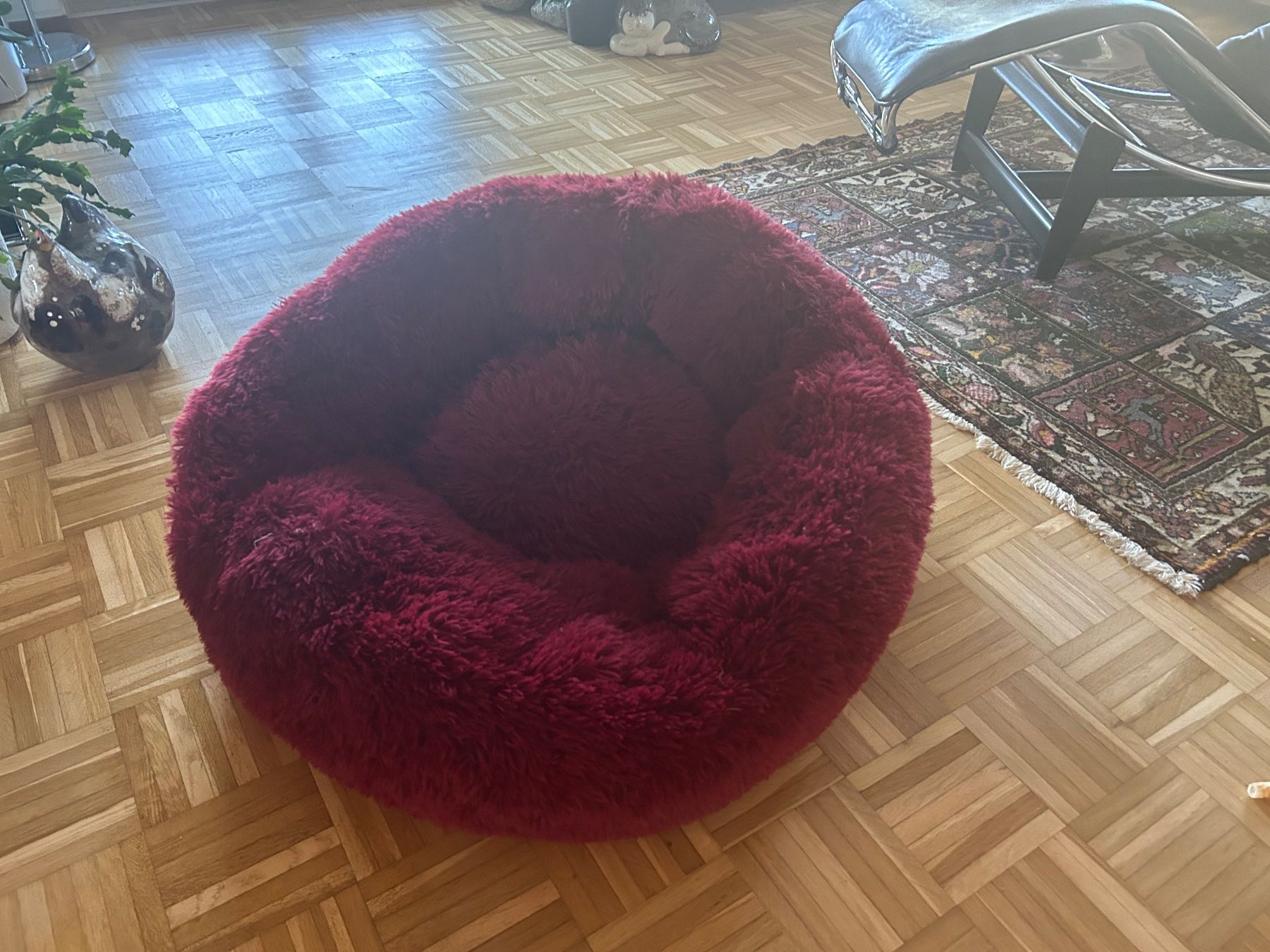 Cucce & Letti: Hundebett sehr flauschig – Usato da unterengstringen venduto da enilorac61resaw 1