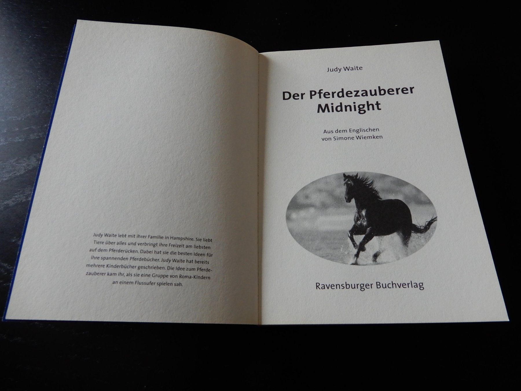 Libri: Judy Waite: Der Pferdeflüsterer Midnight – Usato da Erstfeld venduto da Mario_boe0 1