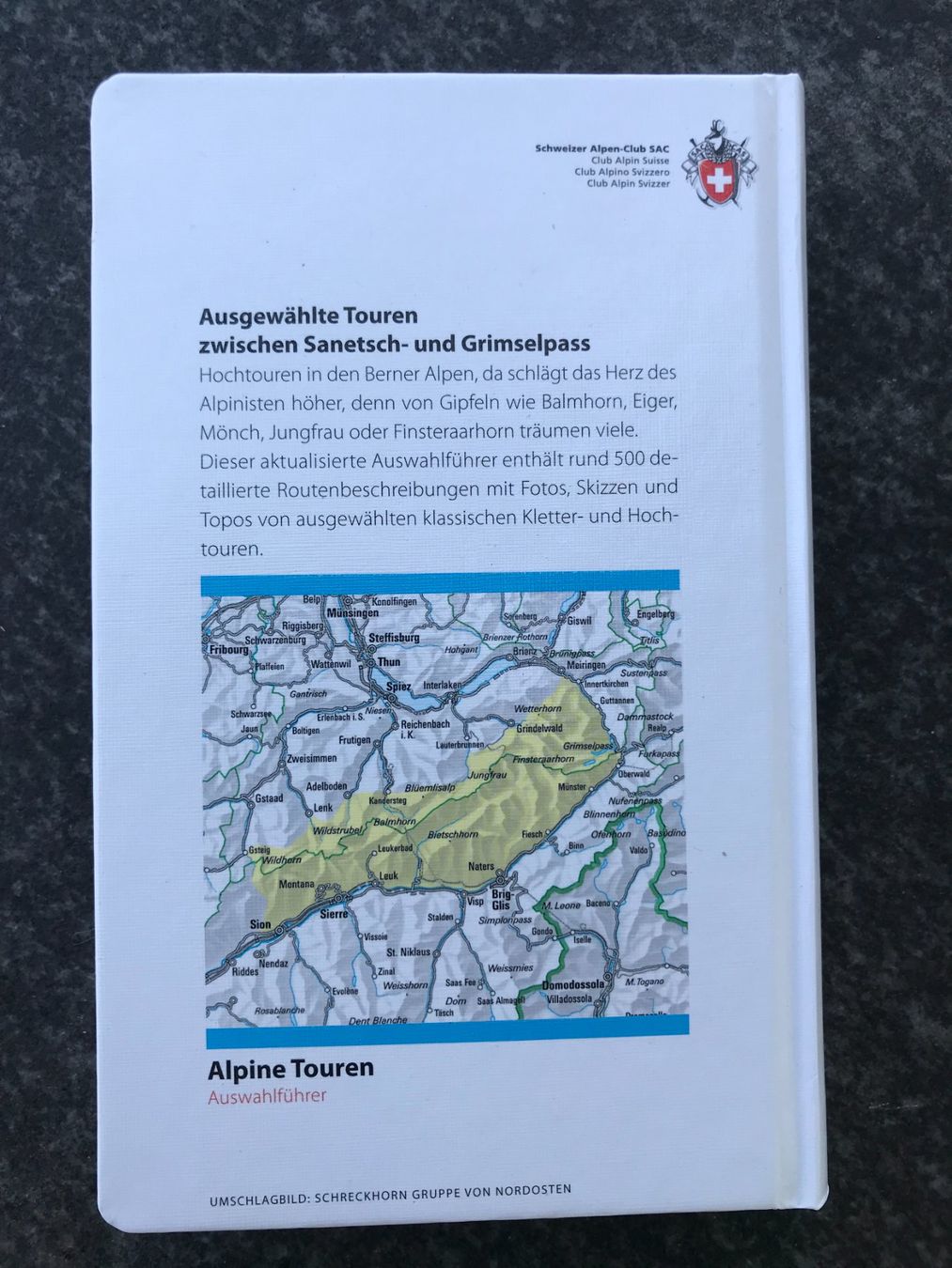 Libri: SAC Berner Alpen Tourenführer – Usato da Dürrenäsch venduto da chinook65 1