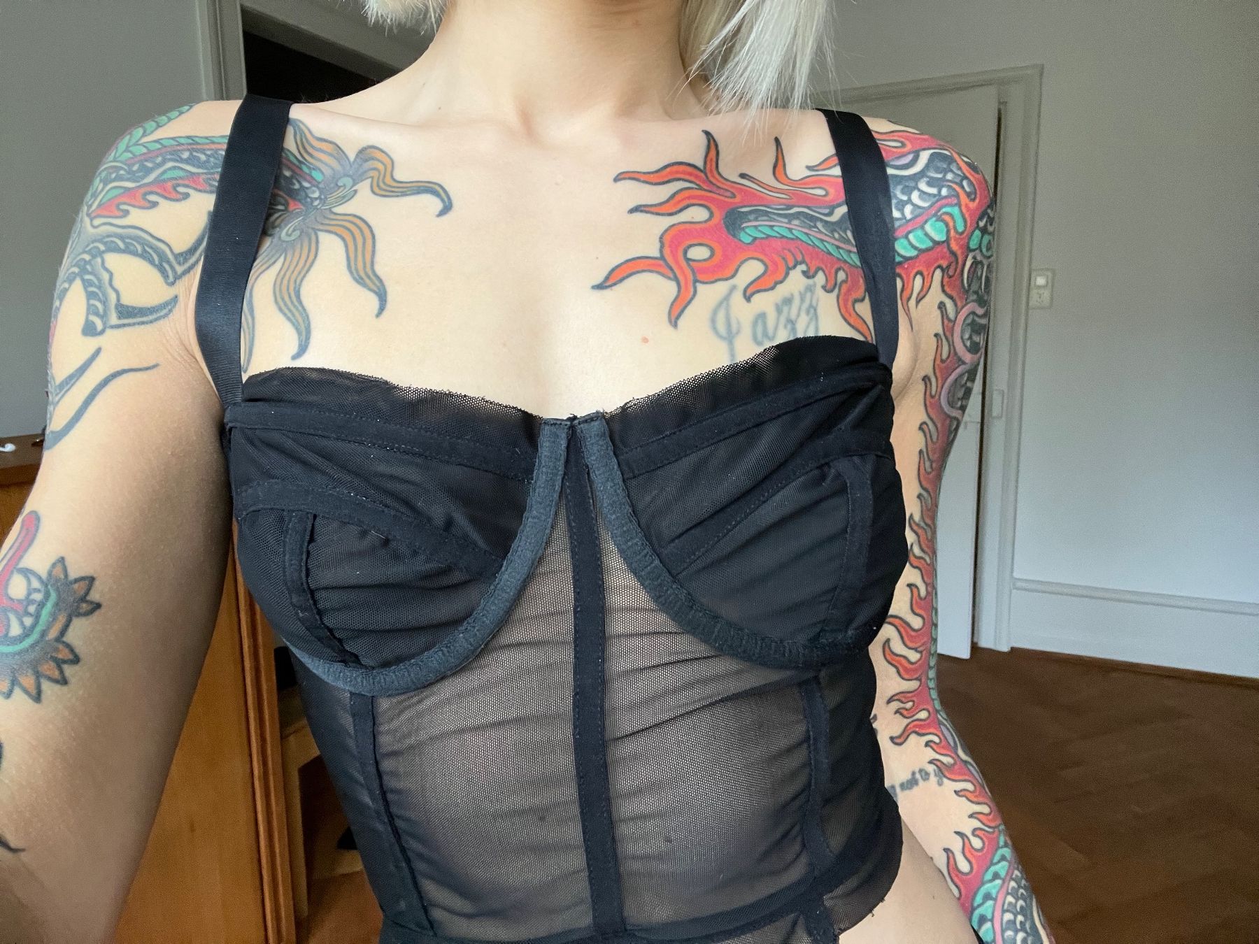 Top: Danielle Guizio Mesh Corset – Usato da Olten venduto da Jasmina91 5