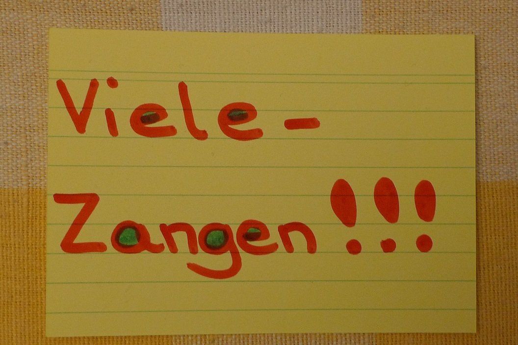 Tutti gli attrezzi: Viele-Zangen!!! – Usato da Bern venduto da bn1640 5