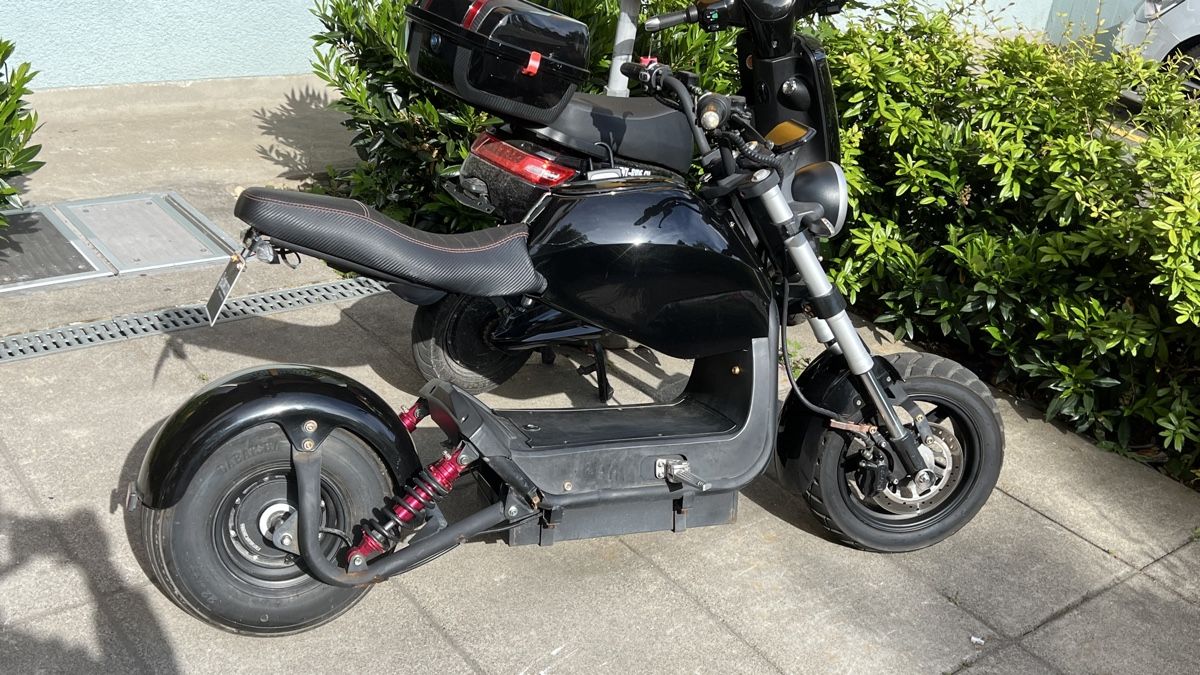 Altro: E roller 25 Km/h – Difettoso da Zürich venduto da arj_h9kc 3