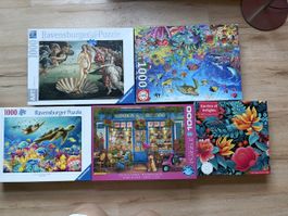 Lot de 5 puzzles 1000 pièces complets 