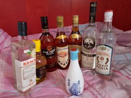 NEUE, exquisite Spirituosen (1l bzw. 1.5l) für Ihre Hausbar!