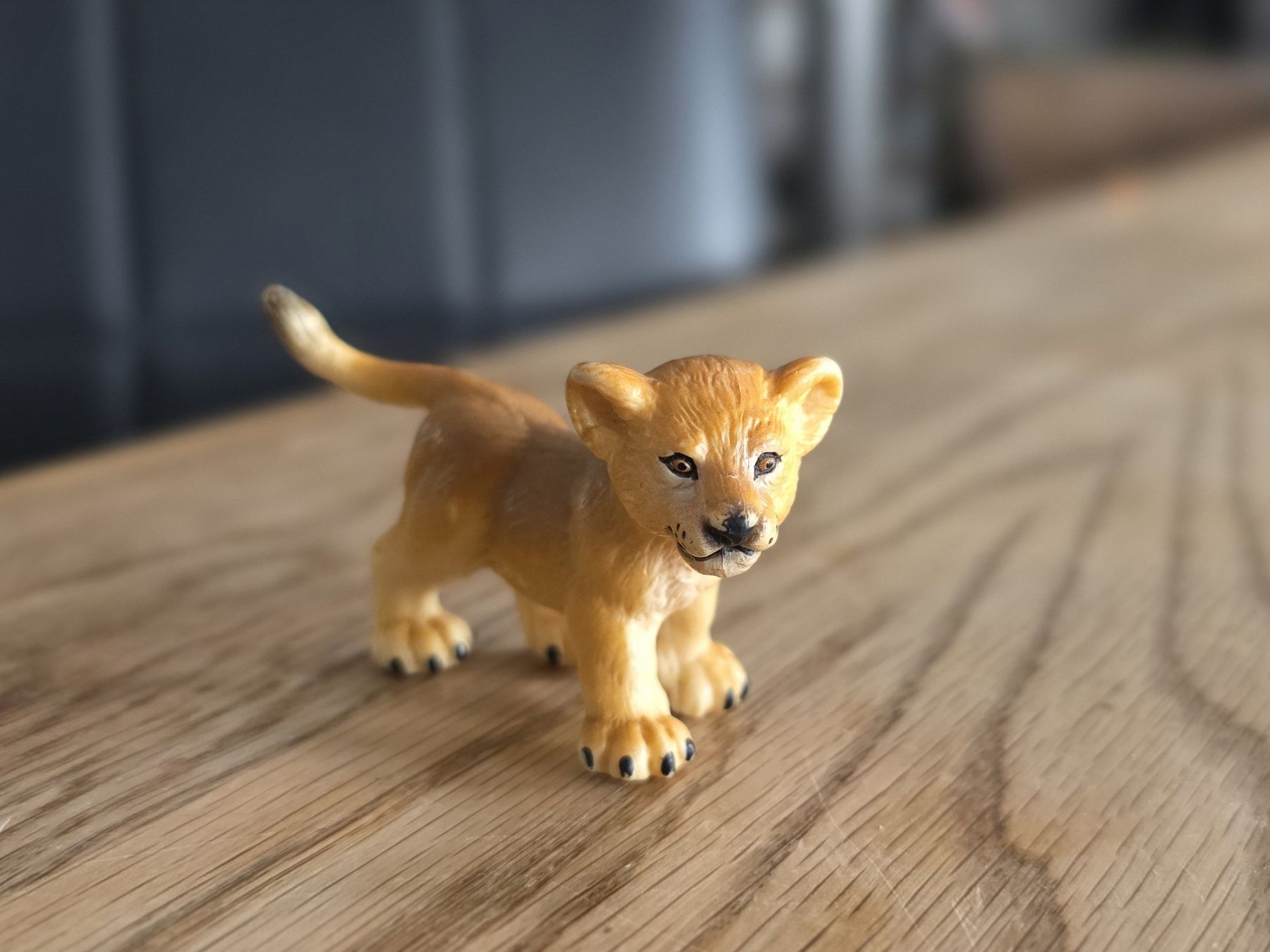 Schleich Spielzeuge: Schleich 14186 baby Löwe – Gebraucht aus Wettingen von dlililou 3