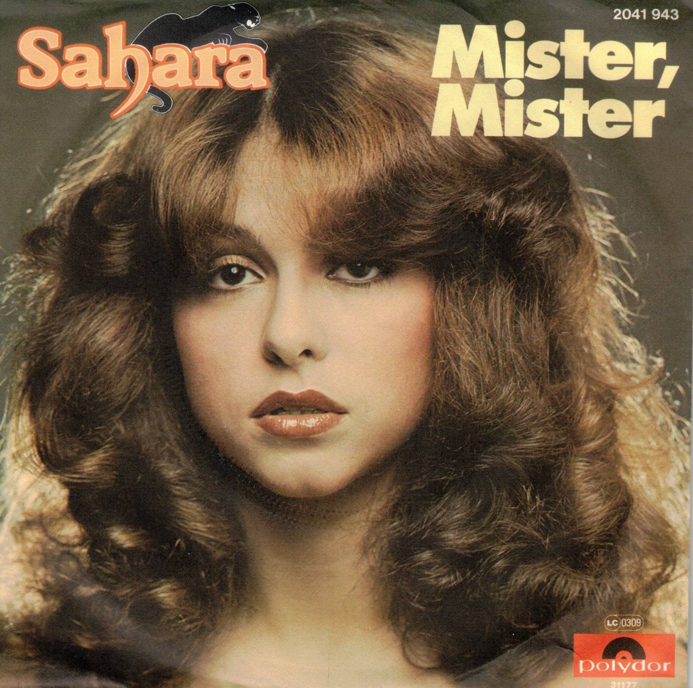 Dischi in vinile: Sahara  -- Mister Mister Single7 – Usato da Rheinau venduto da thespecials