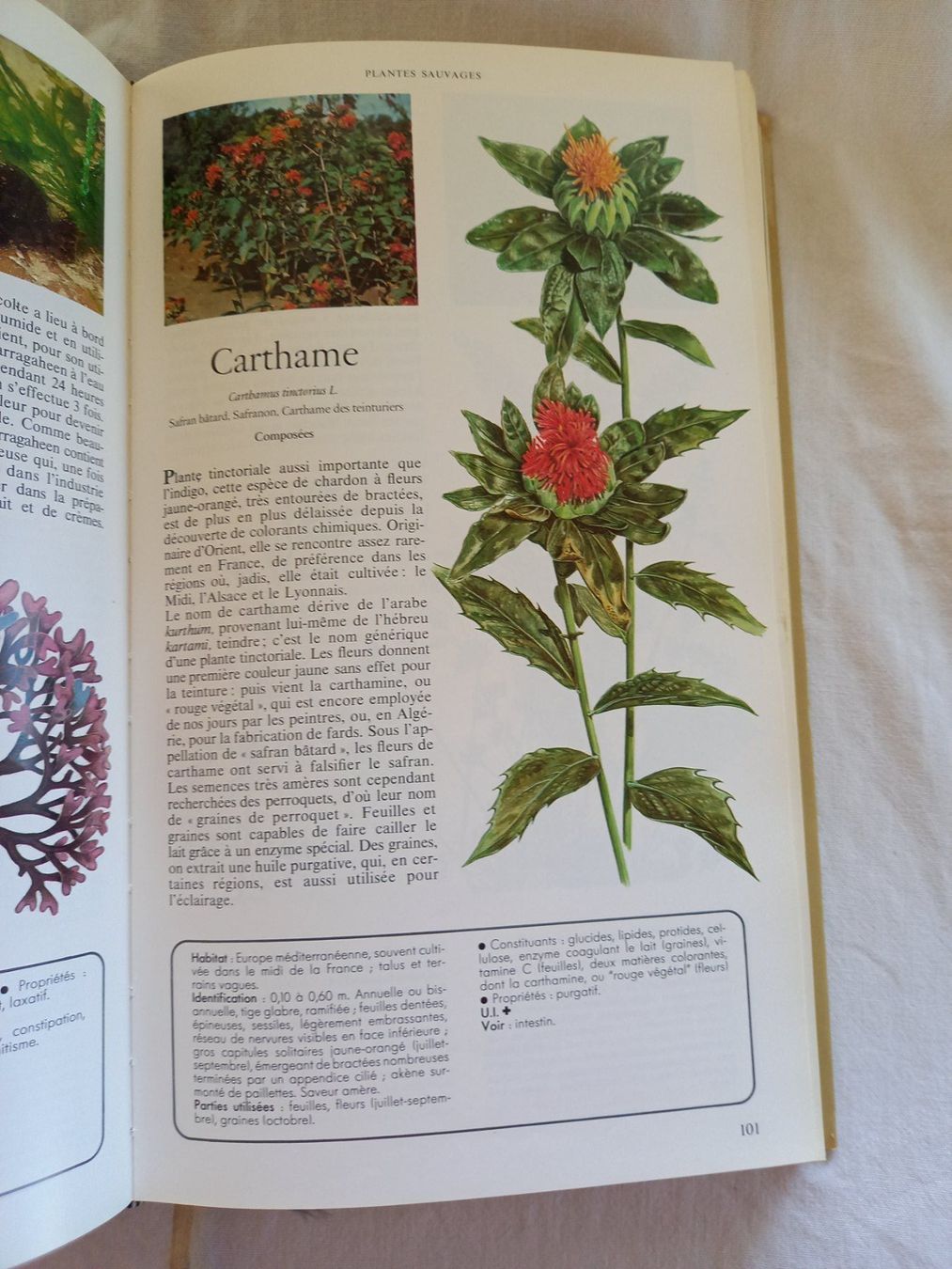 Libri: Secrets et vertus des plantes médicinales, Reader's Digest – Usato da Rossens FR venduto da Souris1 8