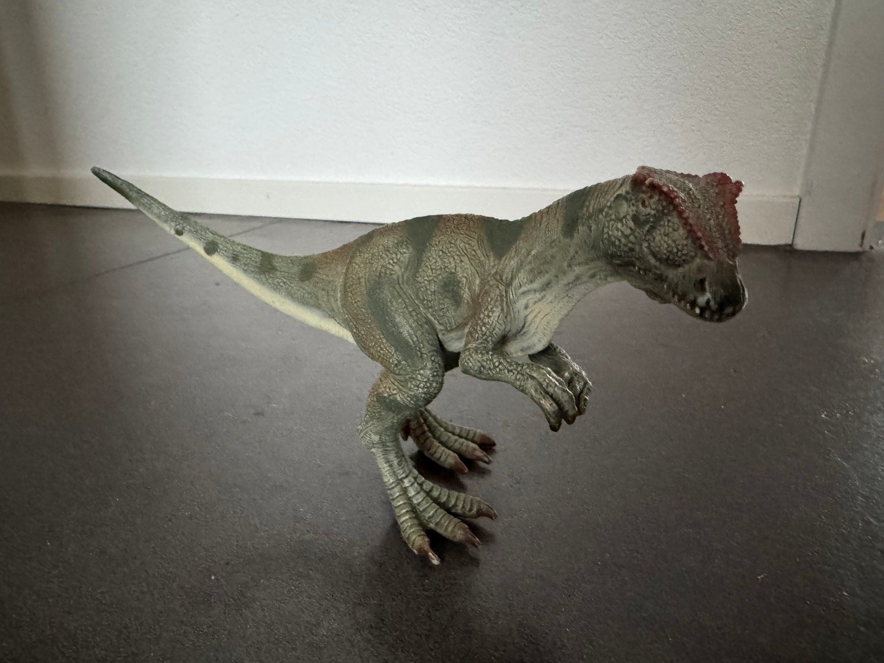 Schleich Statuette: Schleich ALLOSAURUS 2007 Dinosaurier – Usato da Fribourg venduto da tschjoly 1