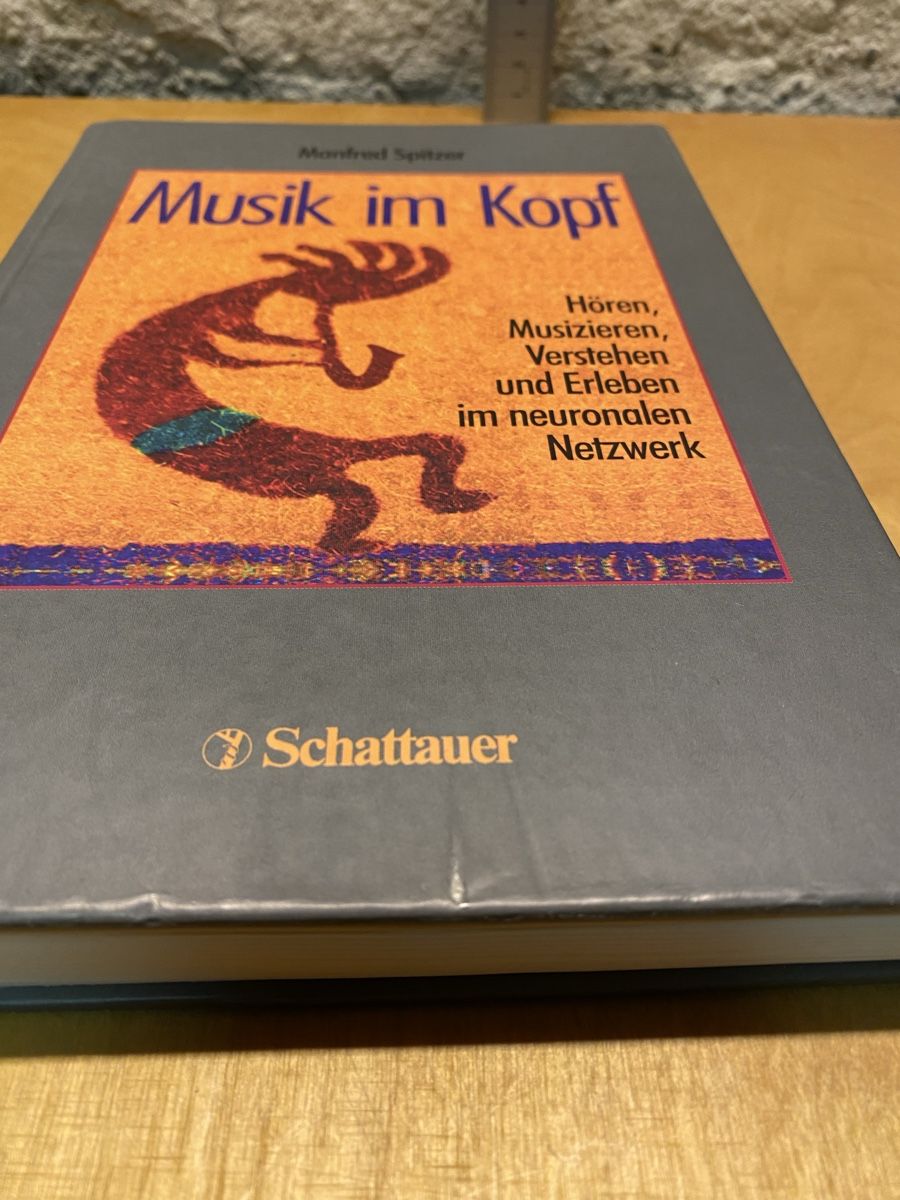 Bücher: Fachbuch: Musik im Kopf, Schattenhauer – Gebraucht aus St.Gallen von kingsamas 4