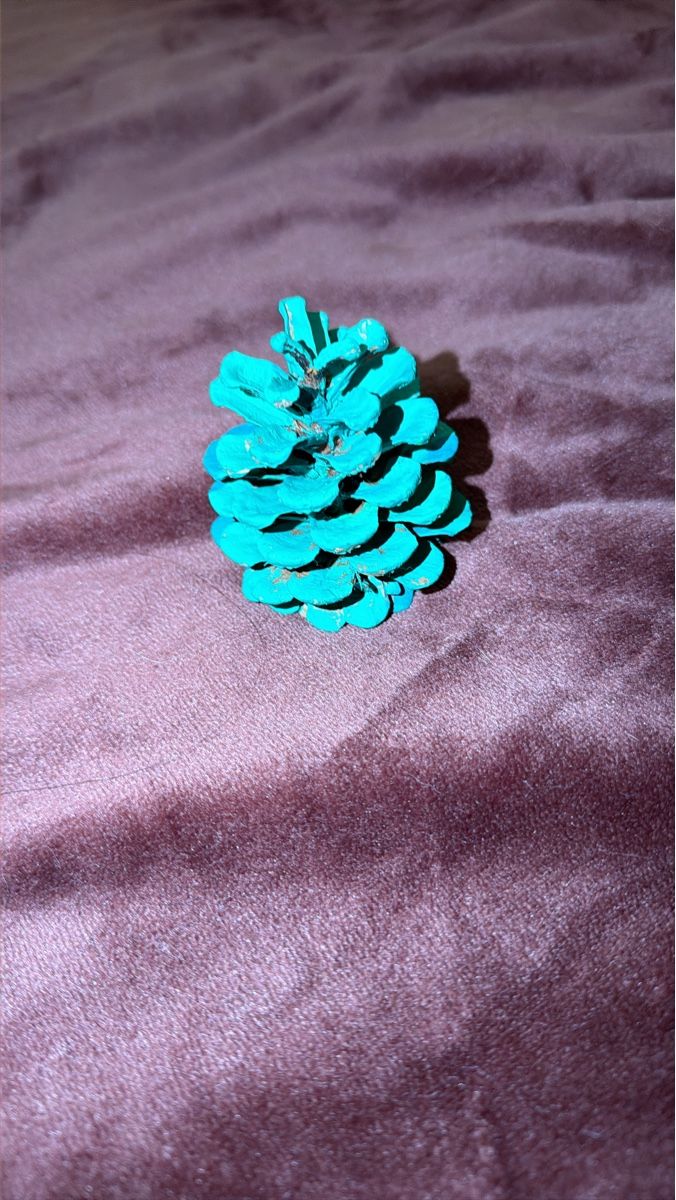 Alle Dekorationen: Decorative pine cone painted turquoise used – Neu und originalverpackt aus Fribourg von dil_5wb9