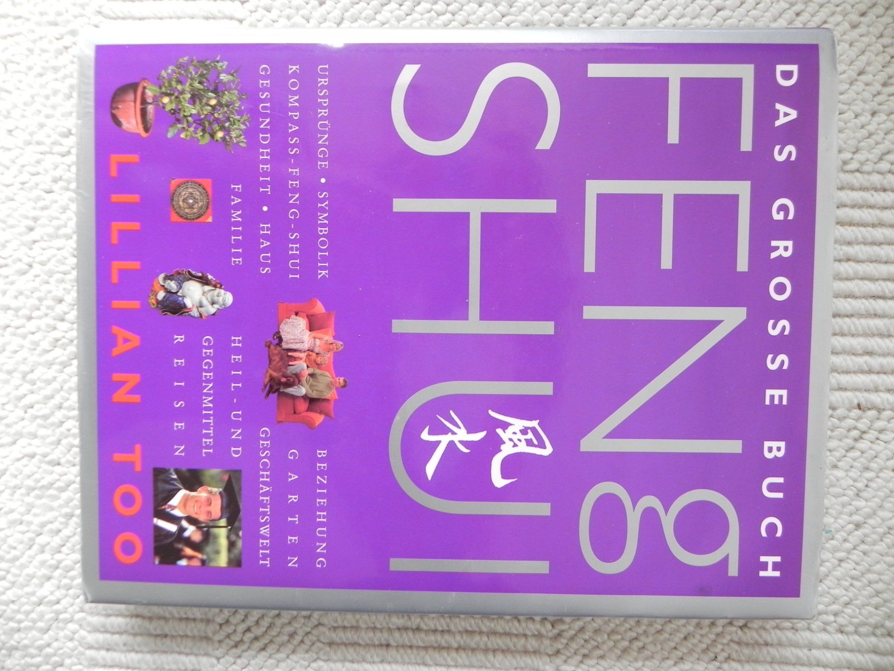 Libri: Feng Shui - Das grosse Buch von Lillian Too – Usato da Stallikon venduto da pcerny16 4
