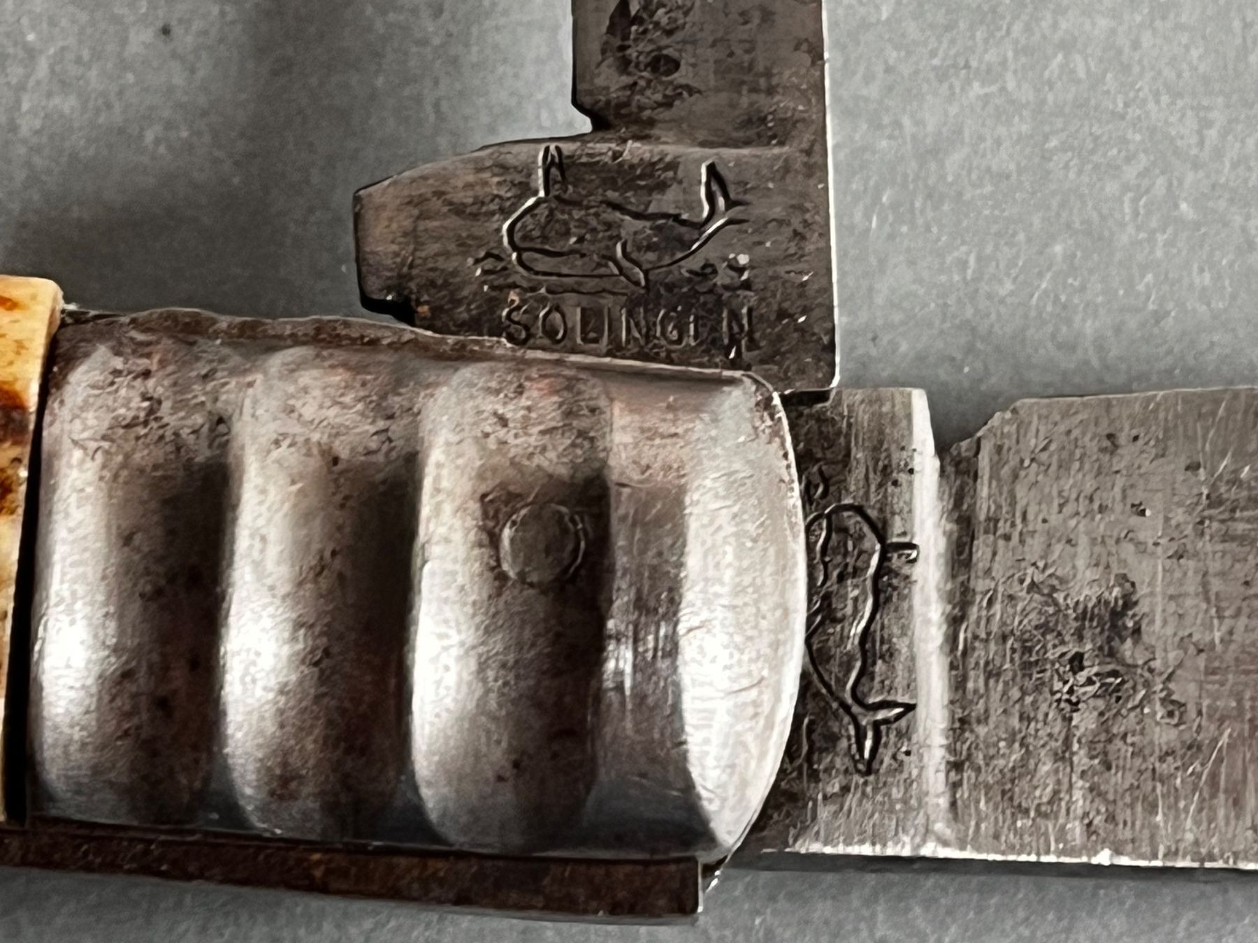Solingen Coltelli tascabile: Sackmesser 110 mm Hirschhorn - selten – Usato da Zürich venduto da FV.vintage 3