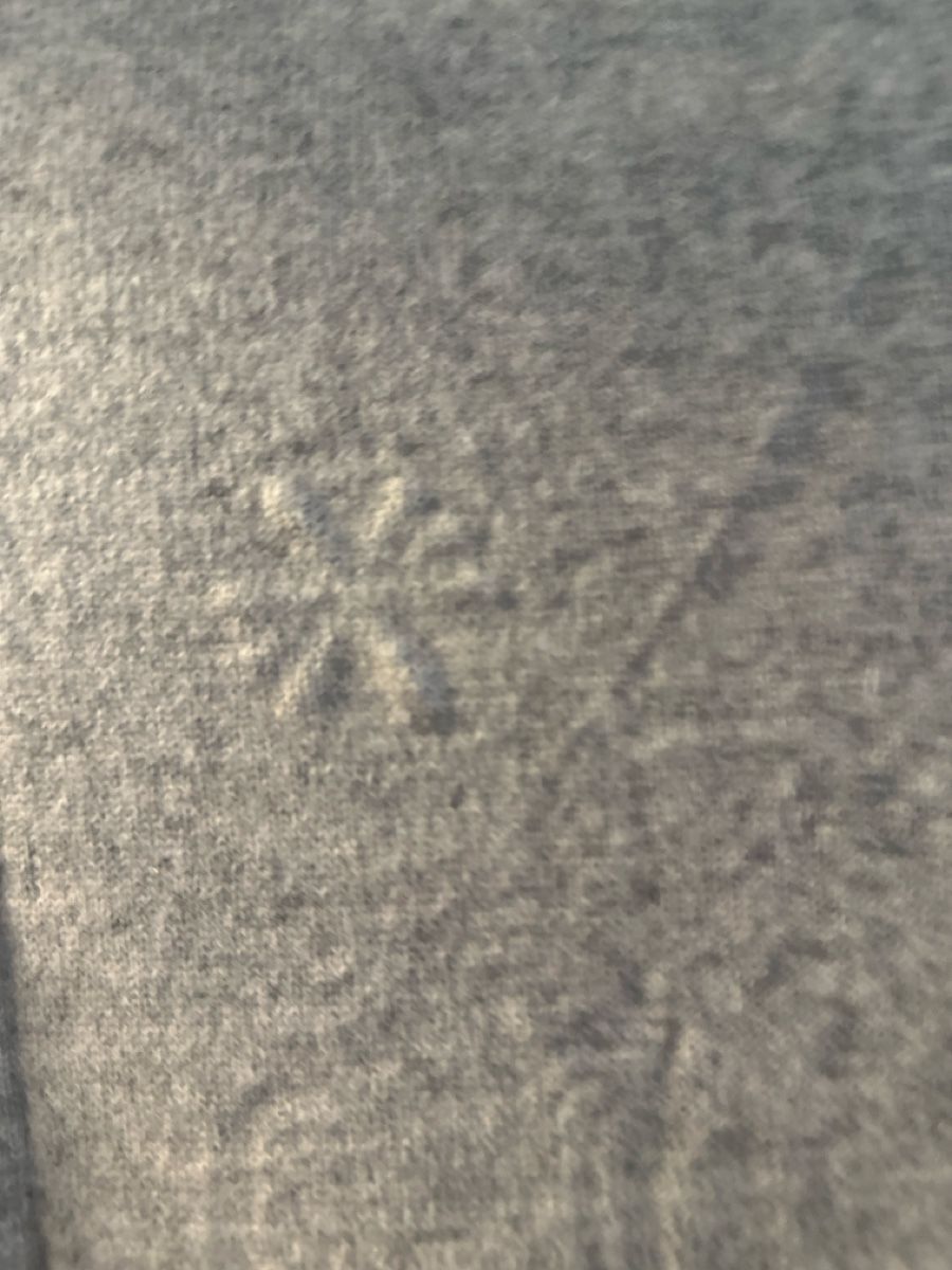 Maglioni & Felpe: Grauer Strickpullover mit Schneeflockenmuster, Grösse 42/44 – Usato da Reinach BL venduto da wen_7bl7 3