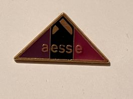 1 Pin Aesse