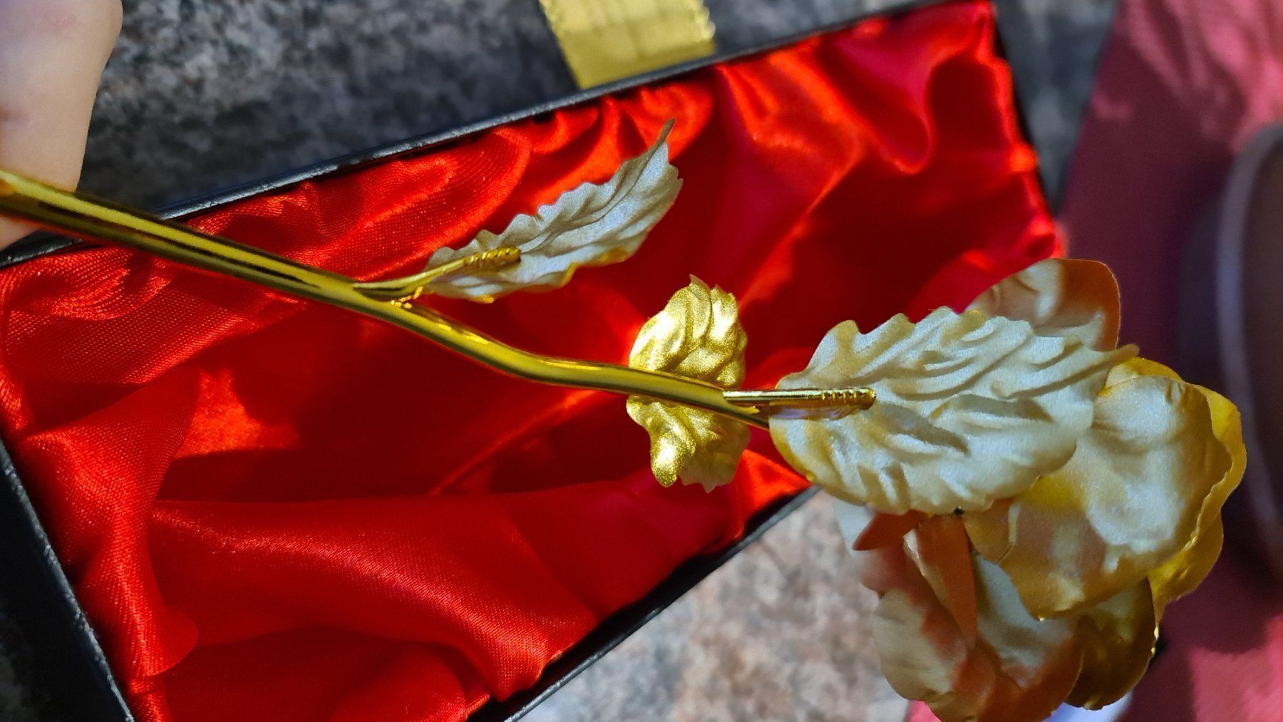 Autos: Rose in Geschenk-Box – Neu und originalverpackt aus Emmenbrücke von TopGato 5