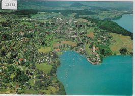 Flugaufnahme Spiez Spiezerbucht