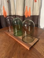 3 Cloches en verre sur socle en bois massif