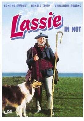Tutti i DVDs: Lassie in Not -DVD- – Usato da Dietikon venduto da Ruempfli