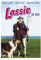 Lassie in Not -DVD-