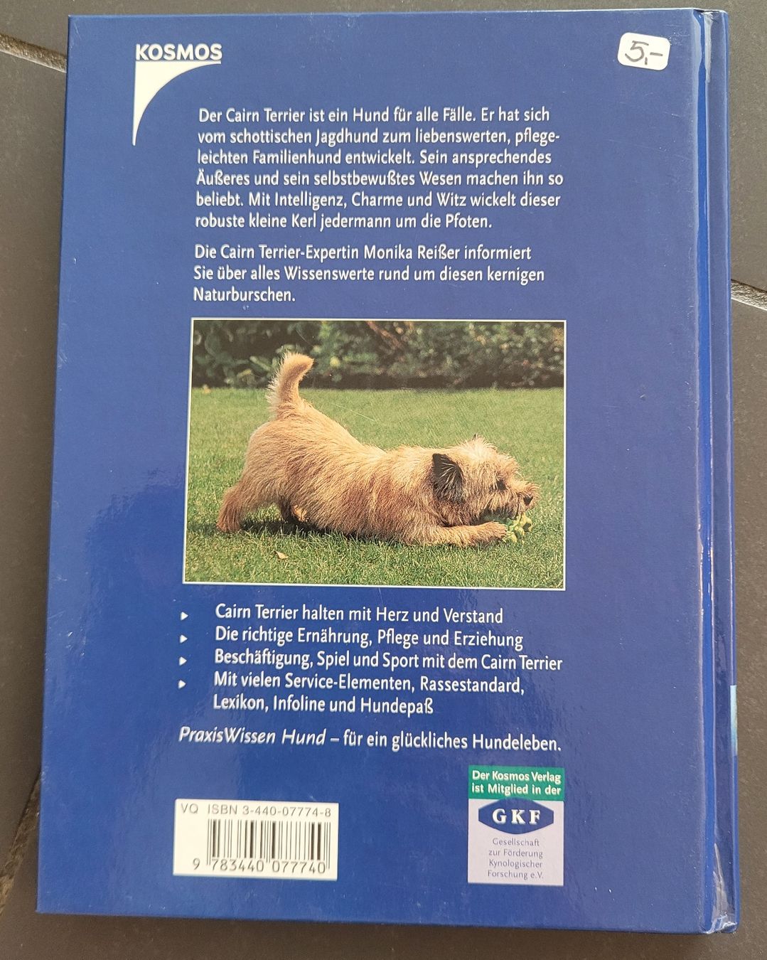 Libri: Buch Cairn Terrier  – Usato da Kappel SO venduto da Matschi86 1