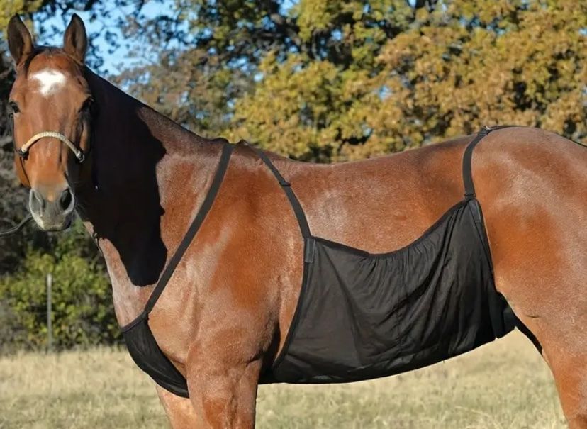 Coperte: Pferd Fliegendecke mit Nasenschutz NEU! – Nuovo (secondo la descrizione) da Grüt (Gossau ZH) venduto da knusperli02
