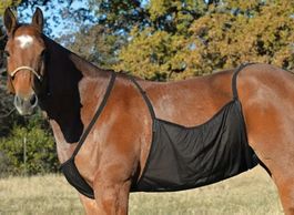 Pferd Fliegendecke mit Nasenschutz NEU!