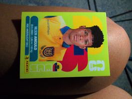 Nilson Angulo ECU 17