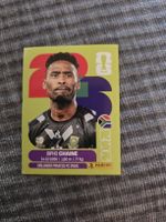 Panini WM 2026 RSA 3 Chaine