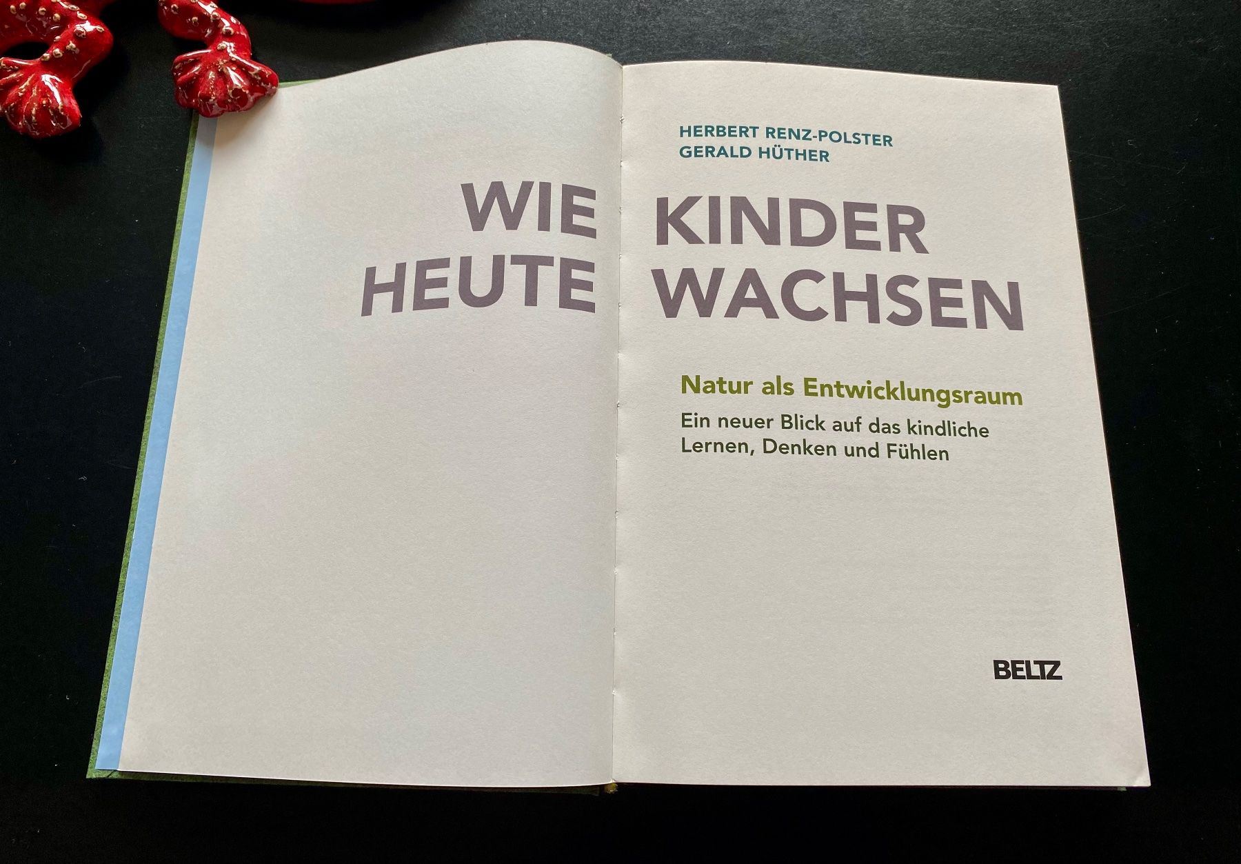 Livres: WIE KINDER HEUTE WACHSEN – D'occasion à Nussbaumen AG par schuba2000 5