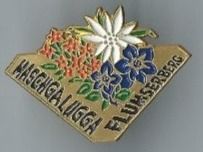 Flumserberg, PIN