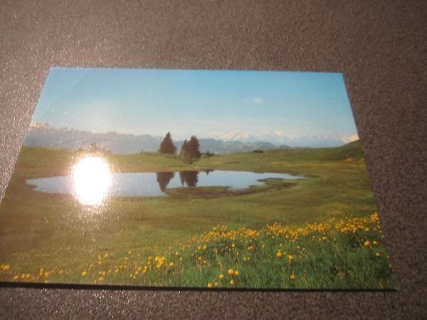 Cartoline postali: Ansichtskarte Stelsersee – Usato da Zürich venduto da Motzkuh