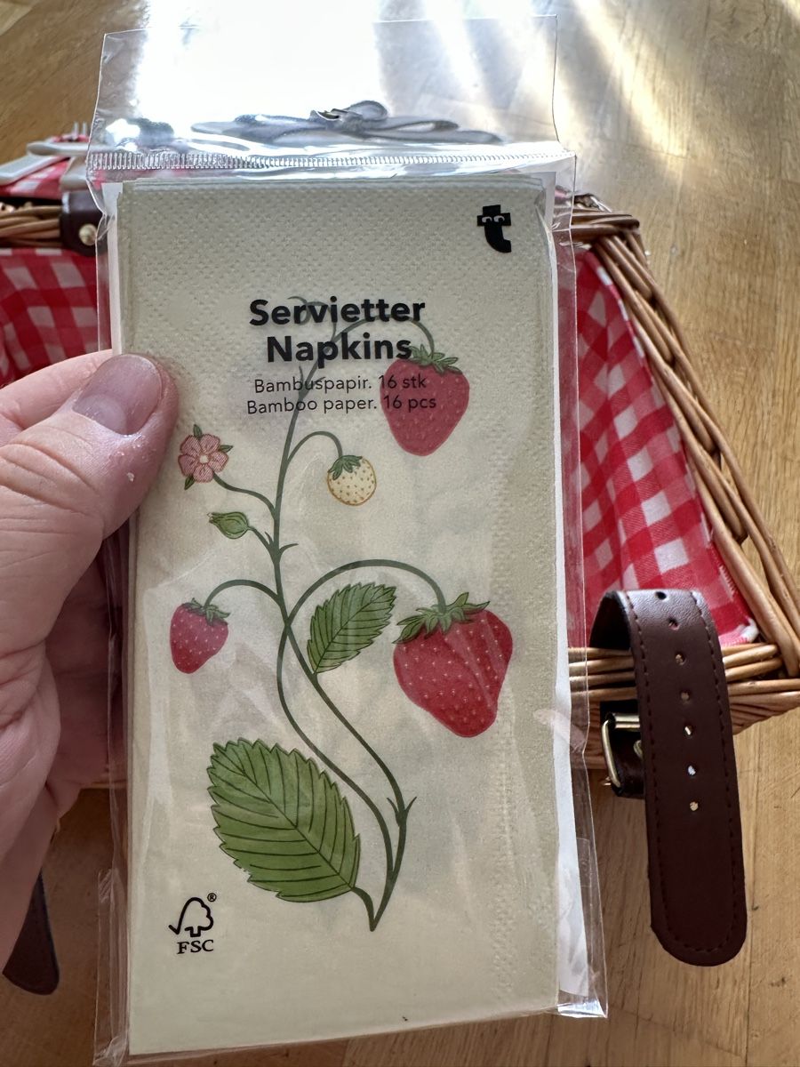 Altro per la casa: Picknick Korb neu Erdbeeren 🍓  – Nuovo (secondo la descrizione) da Bern venduto da womiman 2
