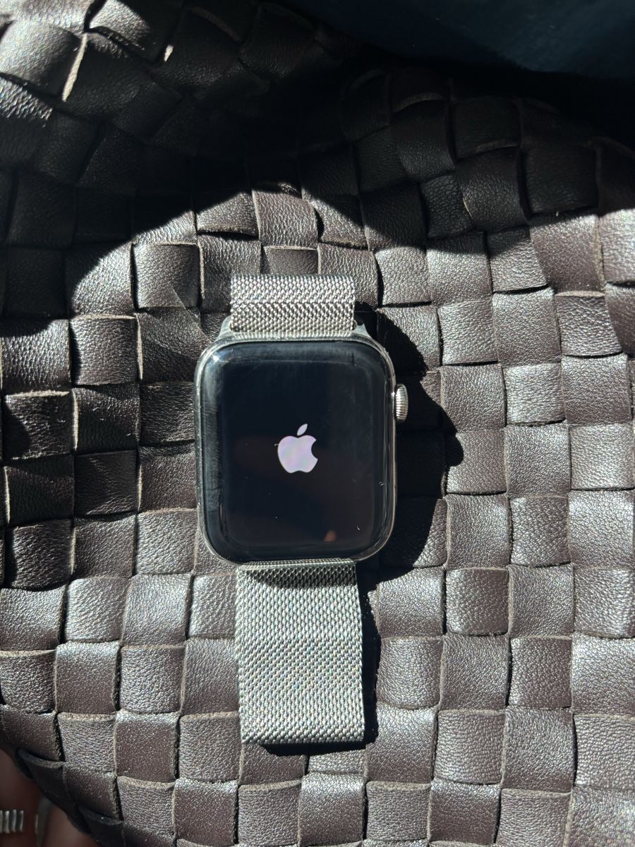 Apple Smartwatch: Apple Watch Series 5 – Usato da Winterthur venduto da strawberry14