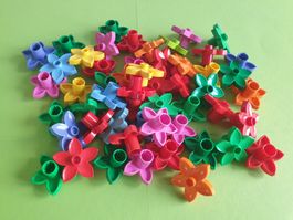 Duplo (Y93) 50 Blüemli