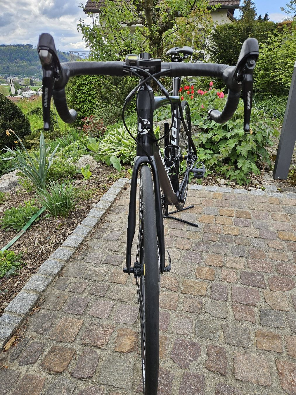 Cannondale Vélos: Cannondale Synapse Hi-Mod – D'occasion à Untersiggenthal par mattu07 1