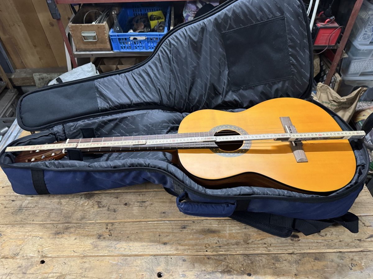 Strumenti musicali: Gitarre Walden 320 TW – Usato da Brienz BE venduto da soto718 6