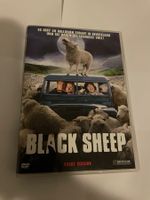 Black Sheep