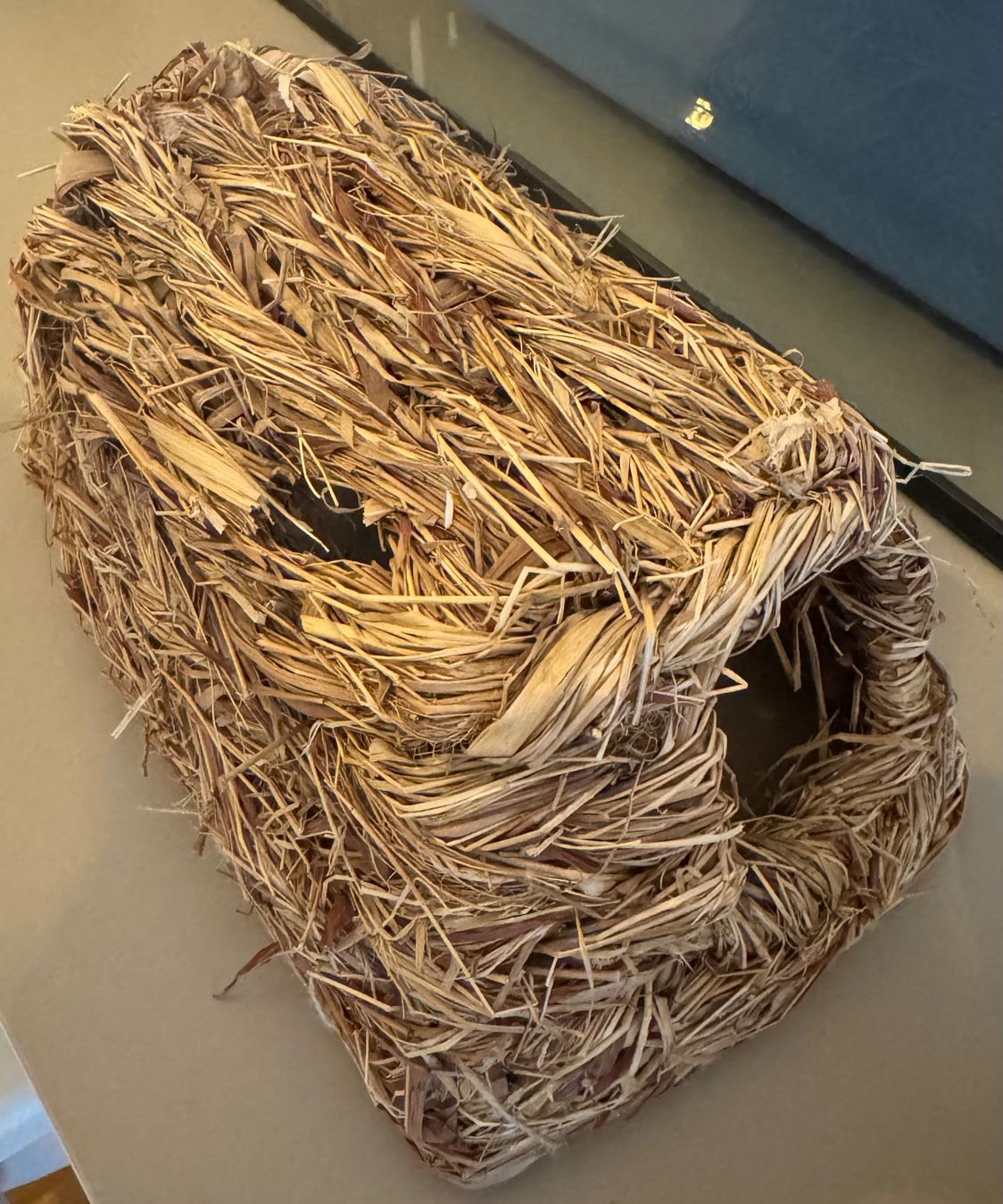Terrariums: Cage/terrarium hamster – D'occasion à Porrentruy par jac_7zzy 6