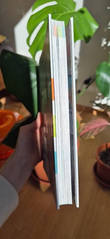 Libri: Achim Sam  24STUNDENDIÄT – Usato da Bern venduto da smichi 1